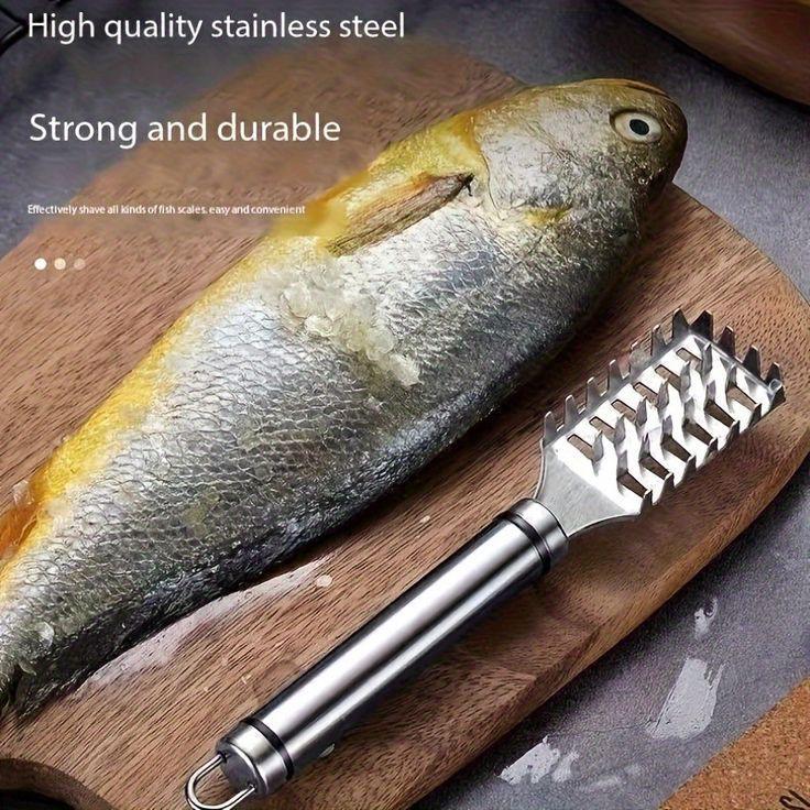 Écailleur de poisson en acier inoxydable