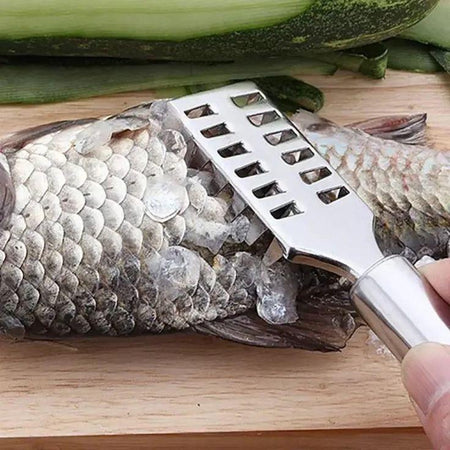 Écailleur de poisson en acier inoxydable