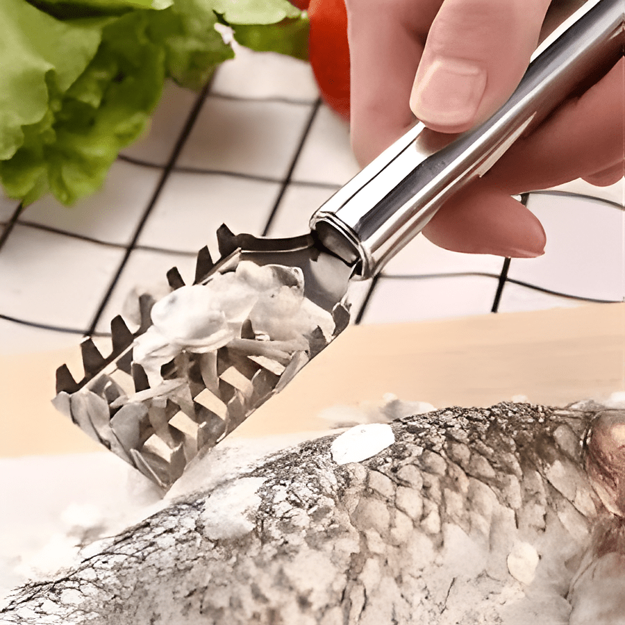 Écailleur de poisson en acier inoxydable